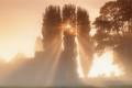 Nature misty sunrise san joaquin valley california